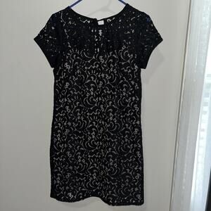 Ann Taylor Loft Black Lace Short Sleeve Round Neck Lined “little black”Dress 6P